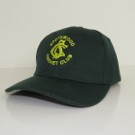 1 Day Cap $25